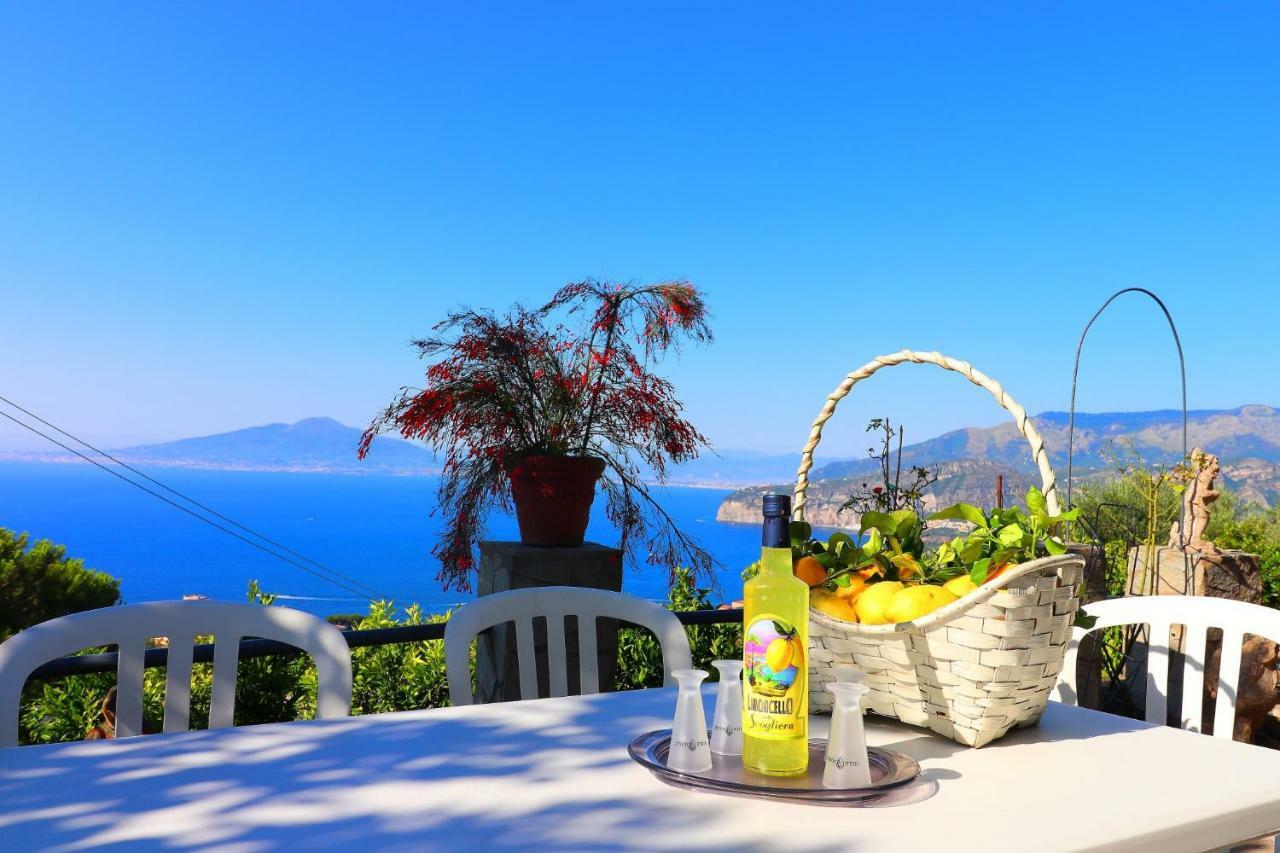 La Rosa Del Sud - De Vivo Realty Sorrento公寓 外观 照片